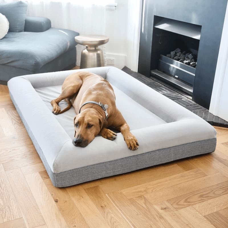 Extra Large Barney Bed XL Barney Bed Paddington